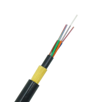 FC-APC SM 2C Outdoor Optical Cable